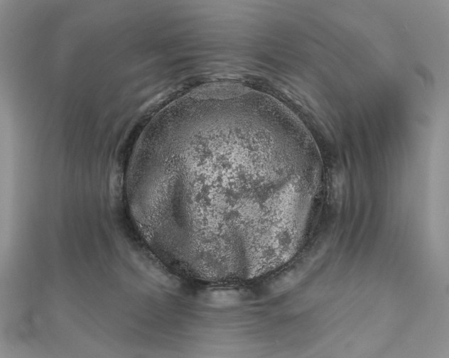 X0000112800228200909041439