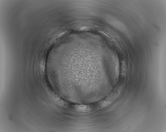 X0000112800230200909041439