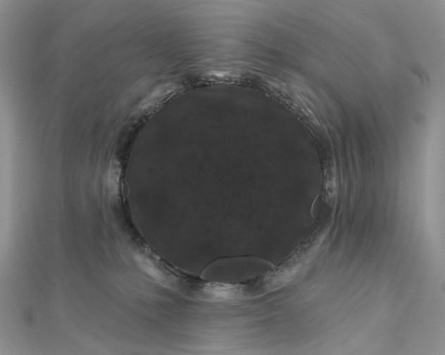 X0000112800231200909041439