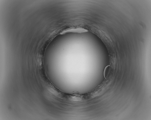 X0000112800232200909041439