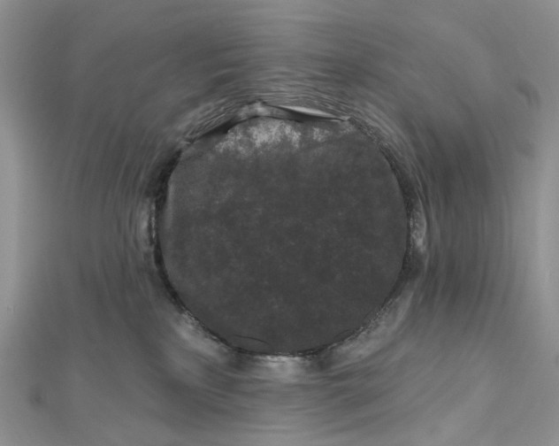 X0000112800233200909041439