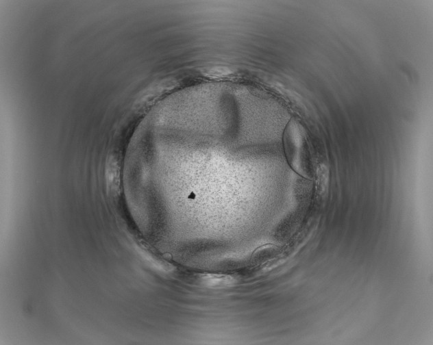 X0000112800234200909041439