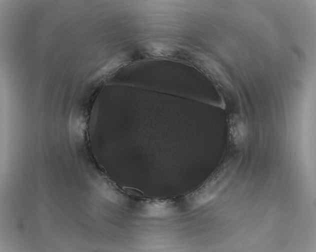 X0000112800235200909041439