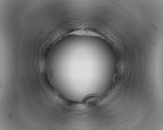 X0000112800236200909041439