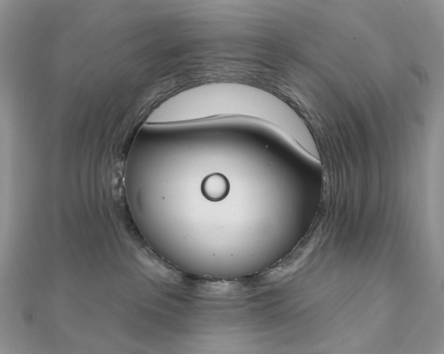 X0000112800237200909041439