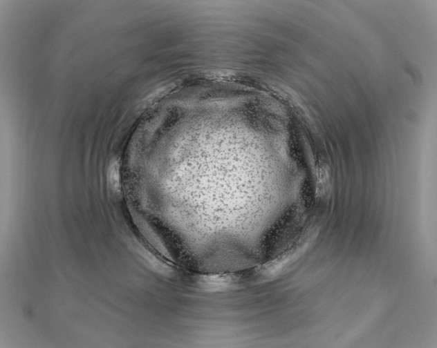 X0000112800238200909041439