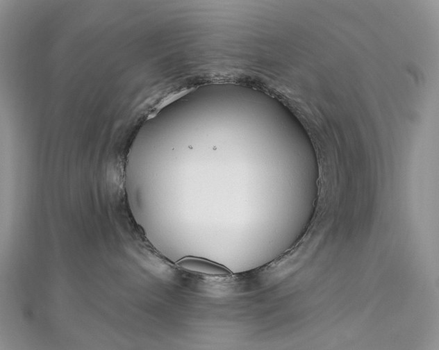 X0000112800240200909041439