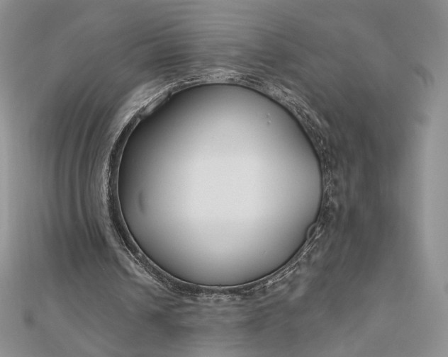 X0000112800242200909041438