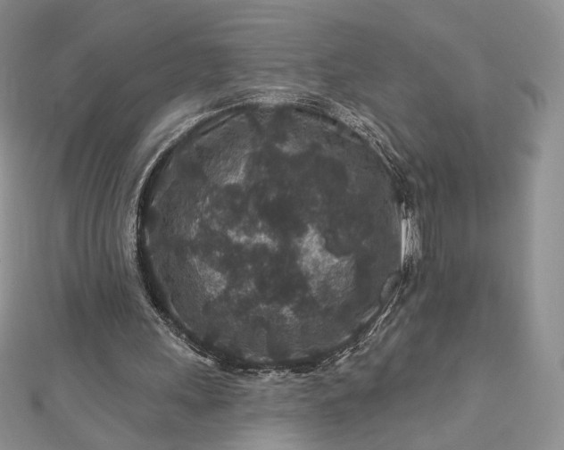 X0000112800243200909041438