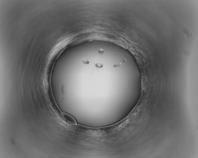 X0000112800245200909041438