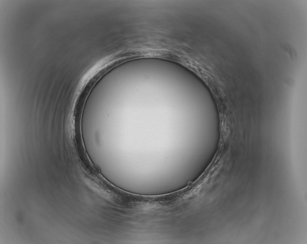 X0000112800246200909041438