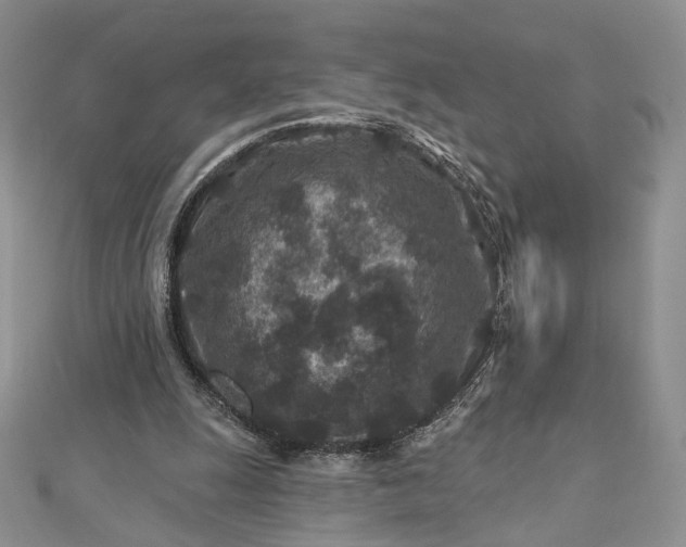 X0000112800247200909041438