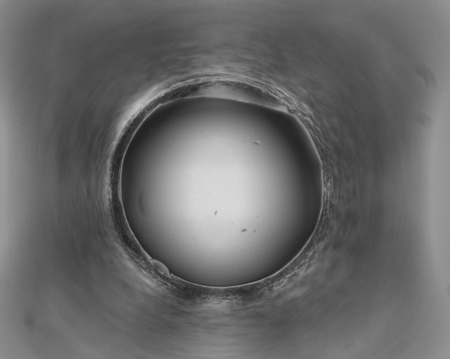 X0000112800248200909041438