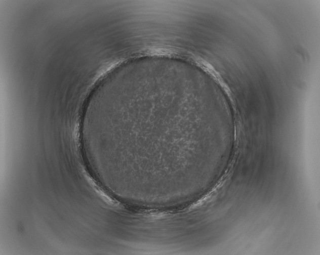 X0000112800249200909041438