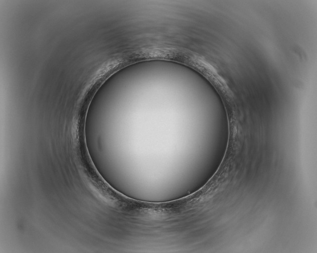 X0000112800250200909041438