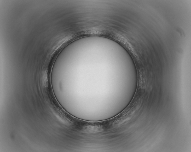 X0000112800251200909041438