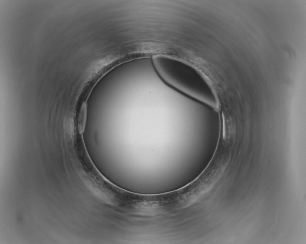 X0000112800252200909041438