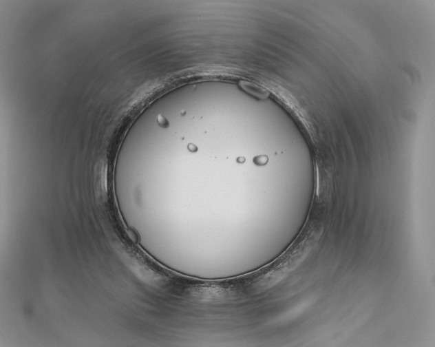 X0000112800253200909041438