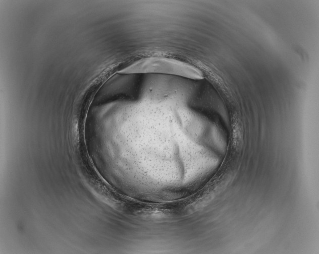 X0000112800254200909041438