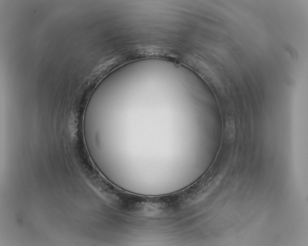 X0000112800255200909041439