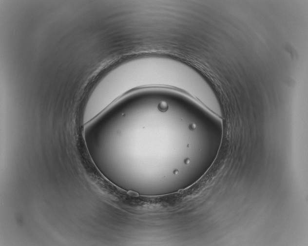 X0000112800256200909041439