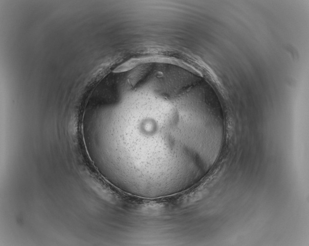 X0000112800257200909041439