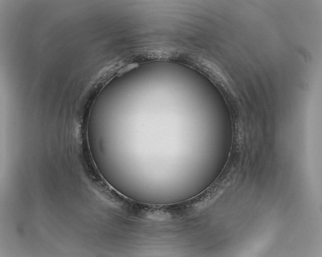 X0000112800258200909041439