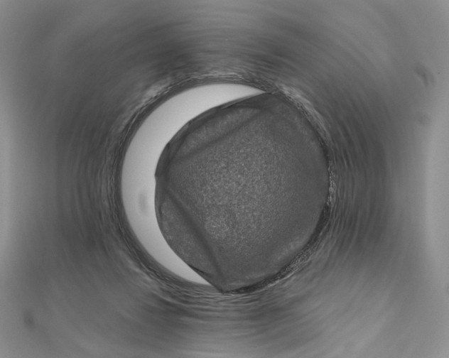 X0000112800260200909041439