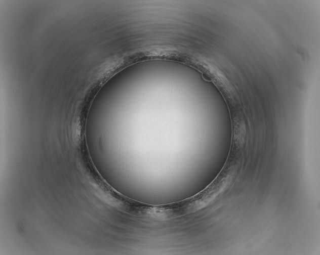 X0000112800261200909041439