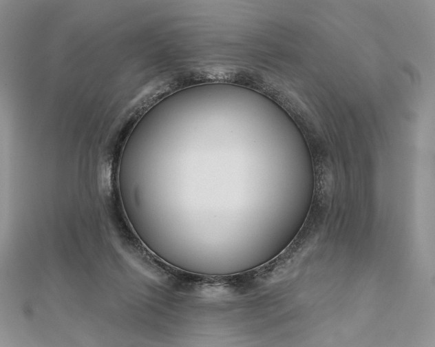 X0000112800262200909041439