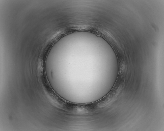 X0000112800264200909041439