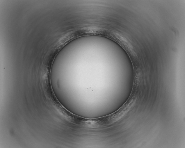 X0000112800265200909041439