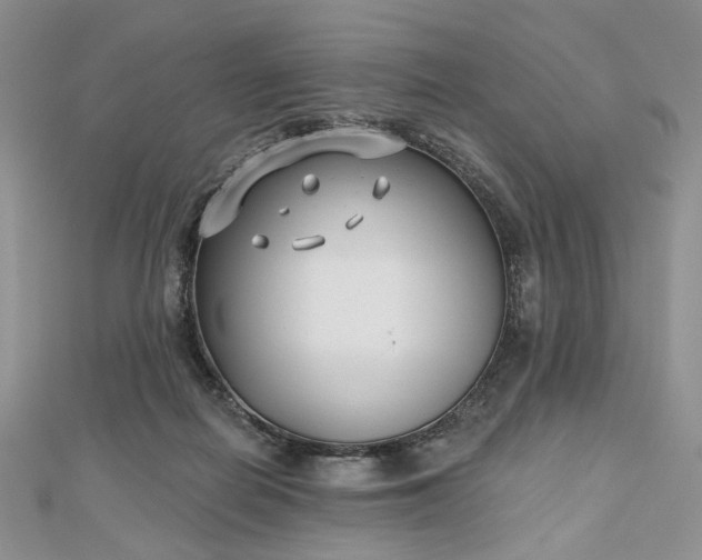 X0000112800266200909041439