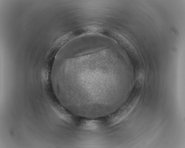 X0000112800268200909041439