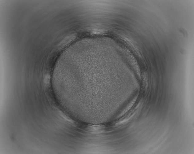 X0000112800269200909041439