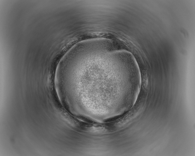 X0000112800270200909041439