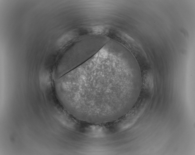 X0000112800272200909041439