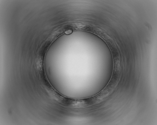 X0000112800274200909041439