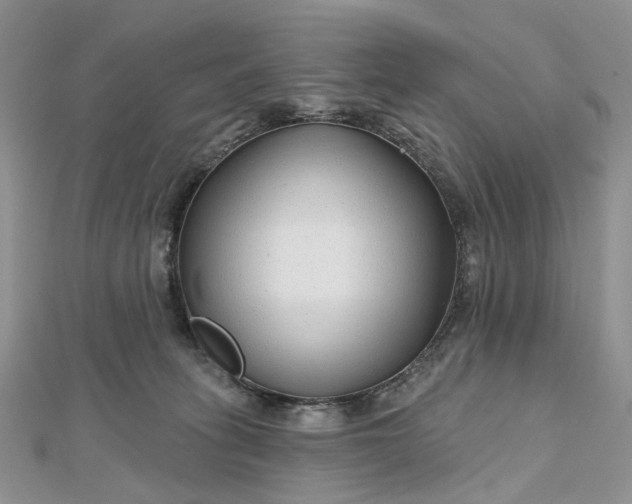 X0000112800275200909041439