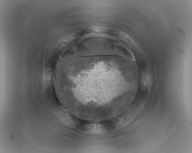 X0000112800276200909041439