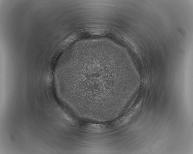 X0000112800277200909041439