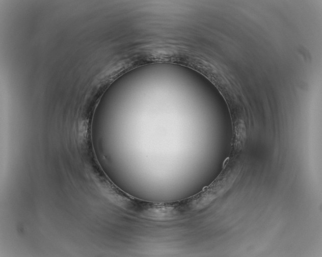 X0000112800278200909041439