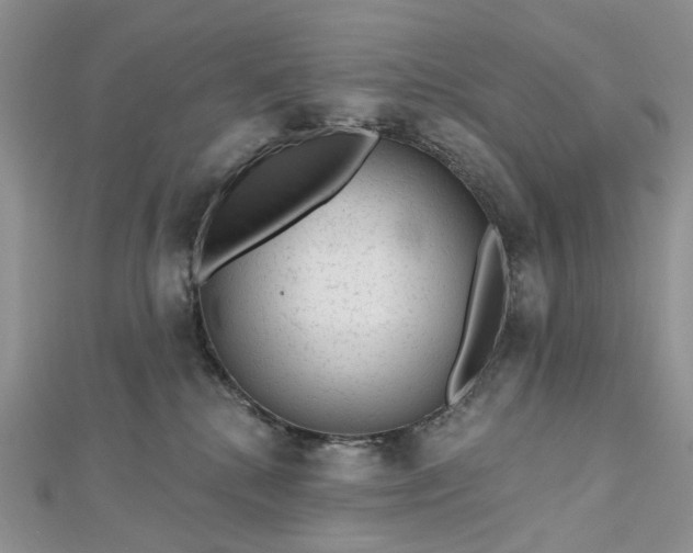 X0000112800280200909041439