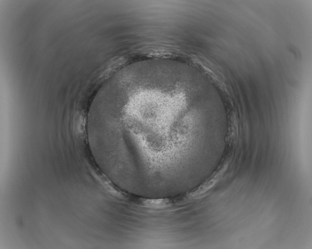 X0000112800281200909041439