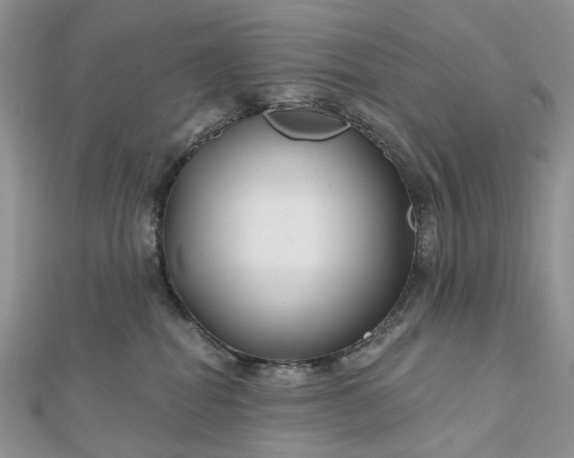 X0000112800282200909041439