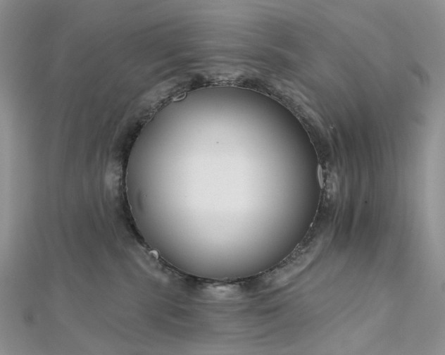 X0000112800283200909041439