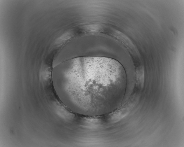 X0000112800284200909041439