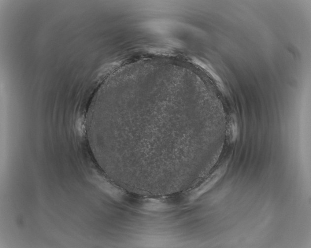 X0000112800285200909041439