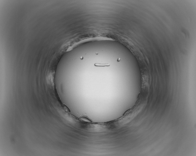 X0000112800286200909041439