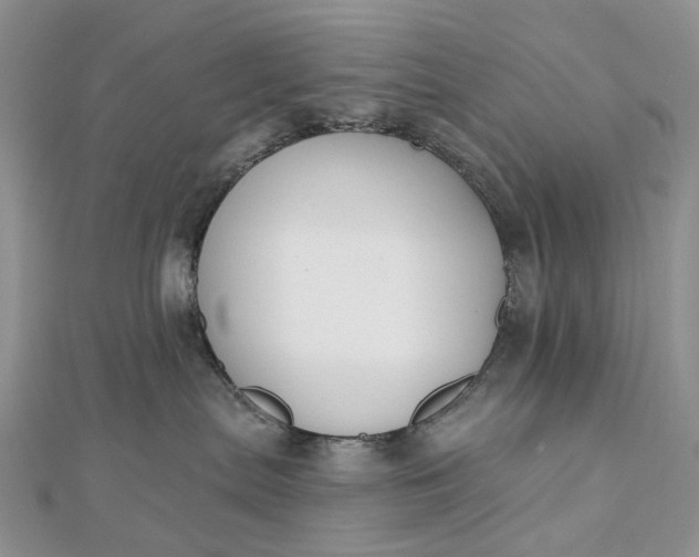 X0000112800287200909041439